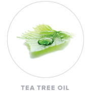 Tea Tree Oil