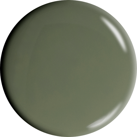 Dr.'s Remedy OPTIMISTIC Olive Nail Color