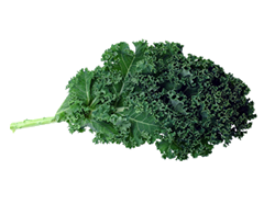 Kale Extract